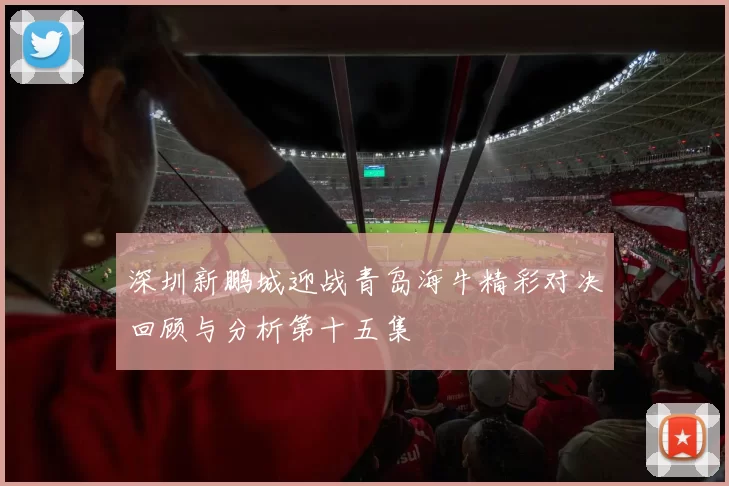 深圳新鹏城迎战青岛海牛精彩对决回顾与分析第十五集